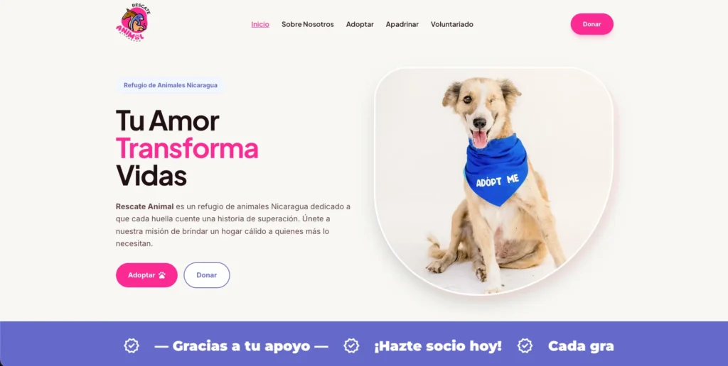 Rescate Animal