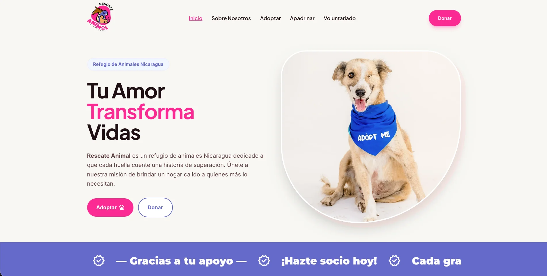 Página de inicio del sitio web para rescate animal desarrollado por Crafted Code Hub