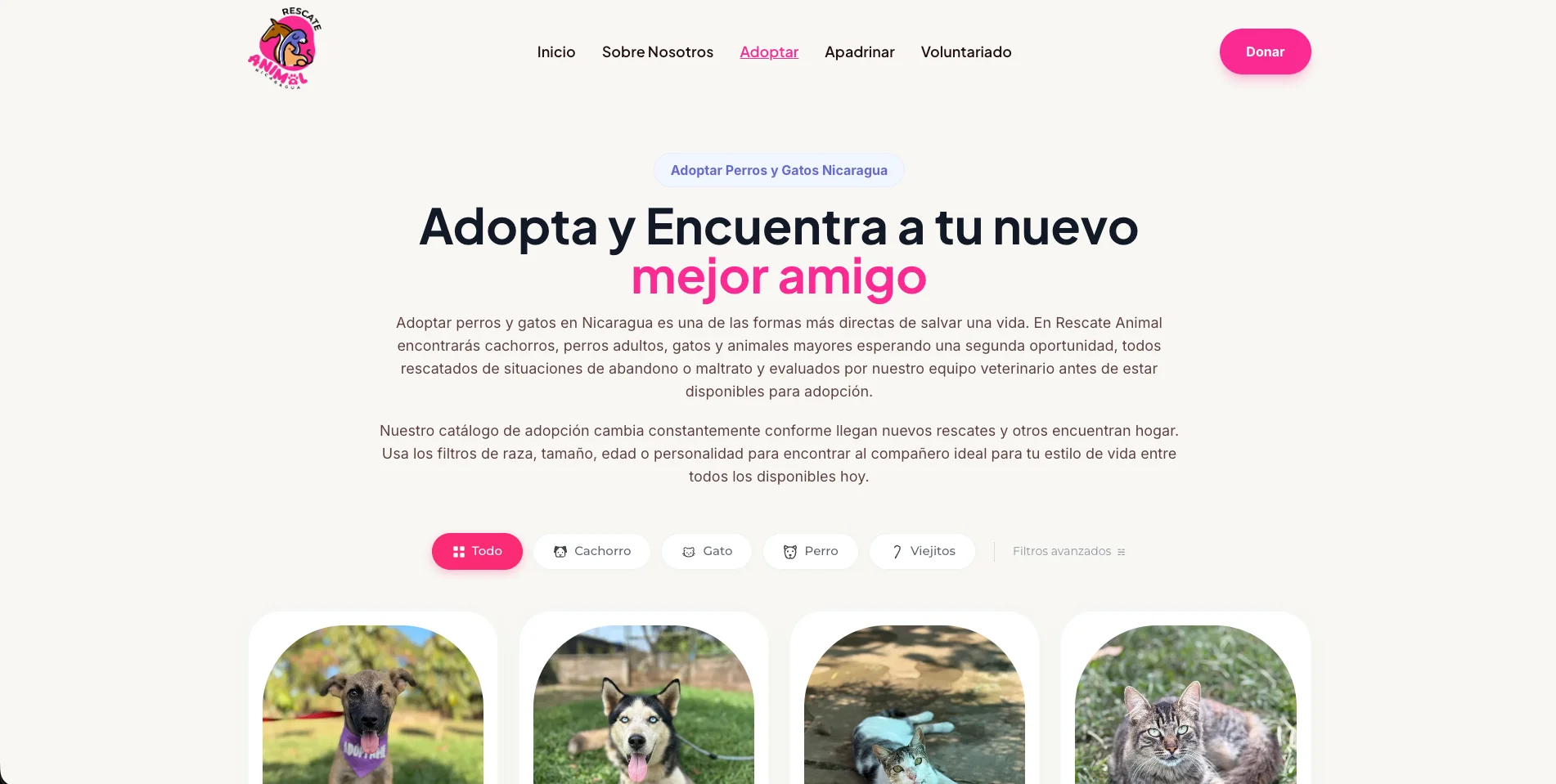Catálogo de mascotas en adopción del sitio de Rescate Animal